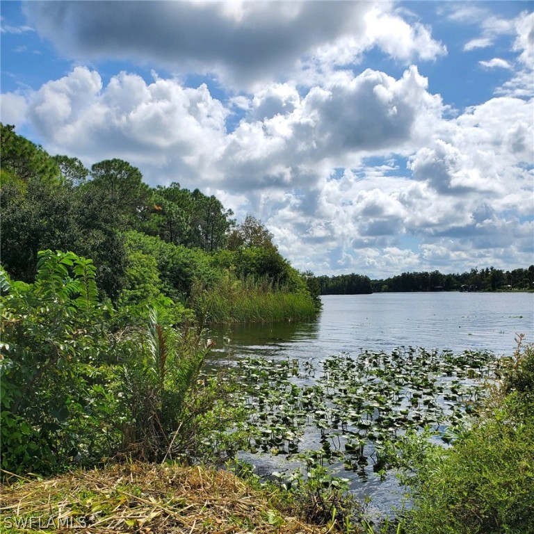 17800 Taylor Road Alva, FL 33920 - Photo 10 of 13 a view of a lake