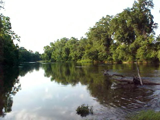 Xx Hinson Road Tylertown, MS 39667 - Photo 1 of 1 Main View