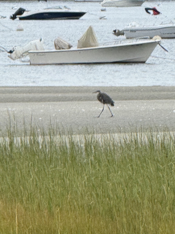 15 Clark Road Ipswich, MA 01938 - Photo 8 of 34