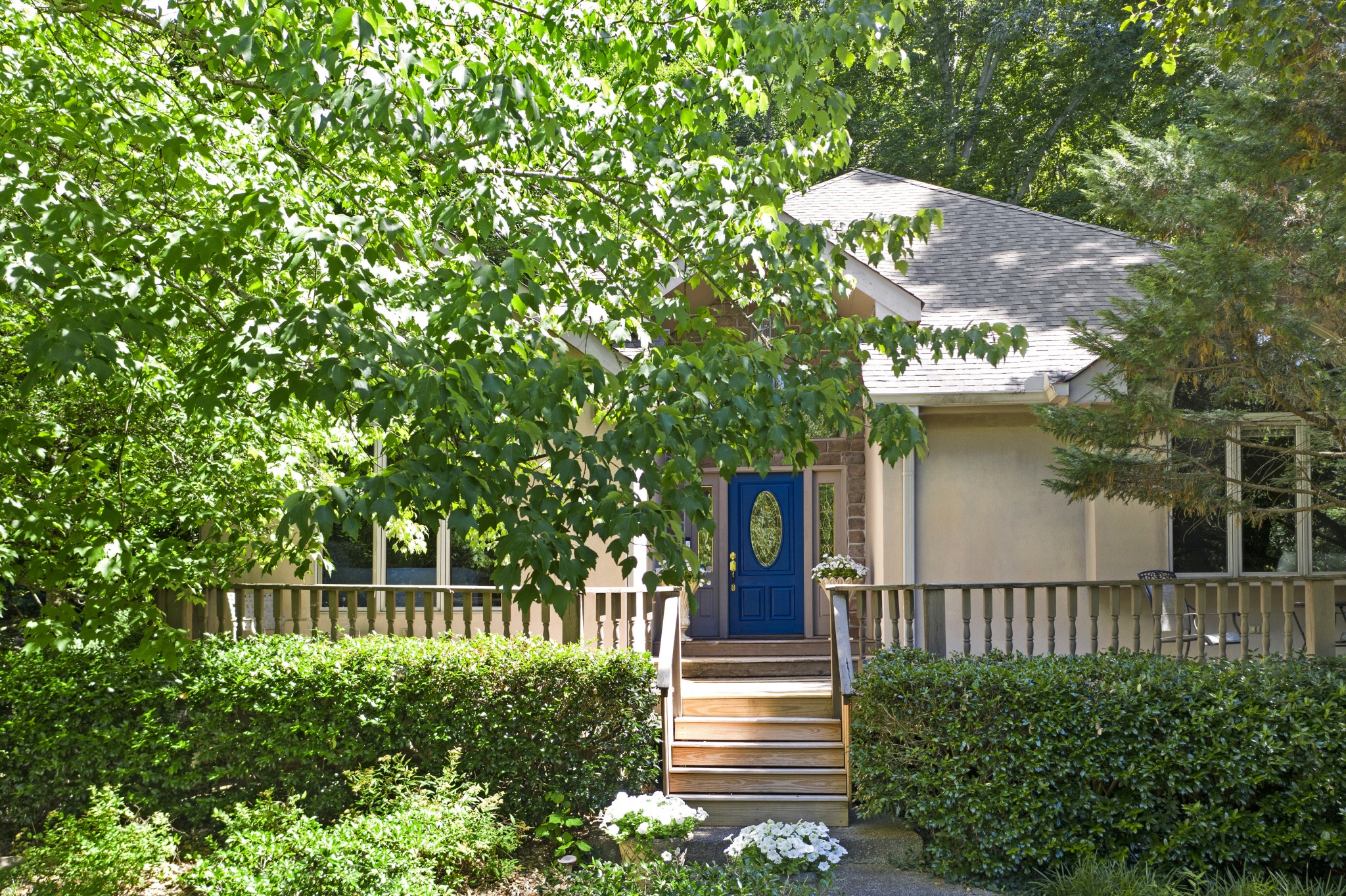 166 Hicks Road Nashville, TN 37221 - Photo 2 of 43 a view of a house with a small yard and a large tree