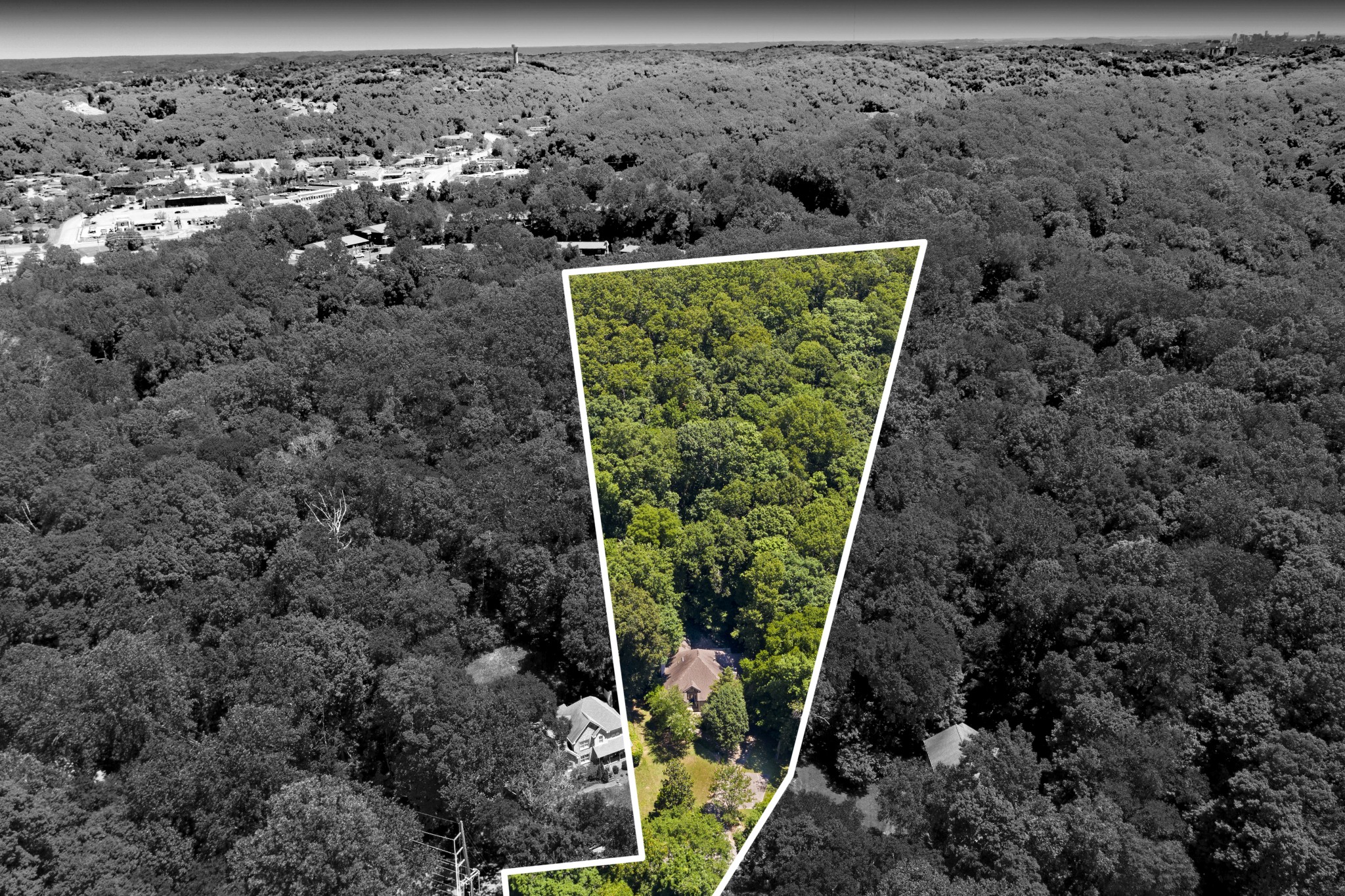 166 Hicks Road Nashville, TN 37221 - Photo 39 of 43 a view of a garden