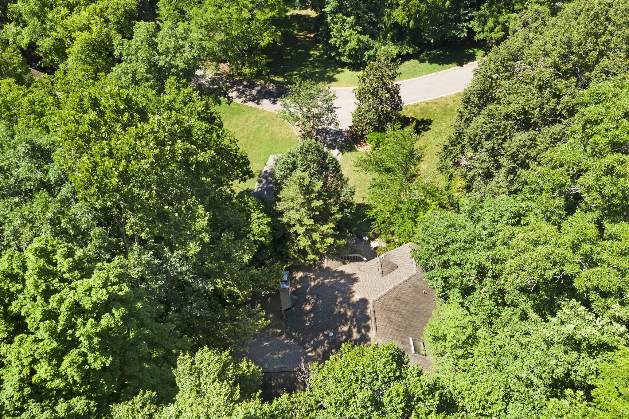 166 Hicks Road Nashville, TN 37221 - Photo 42 of 43 a view of a tree with a yard