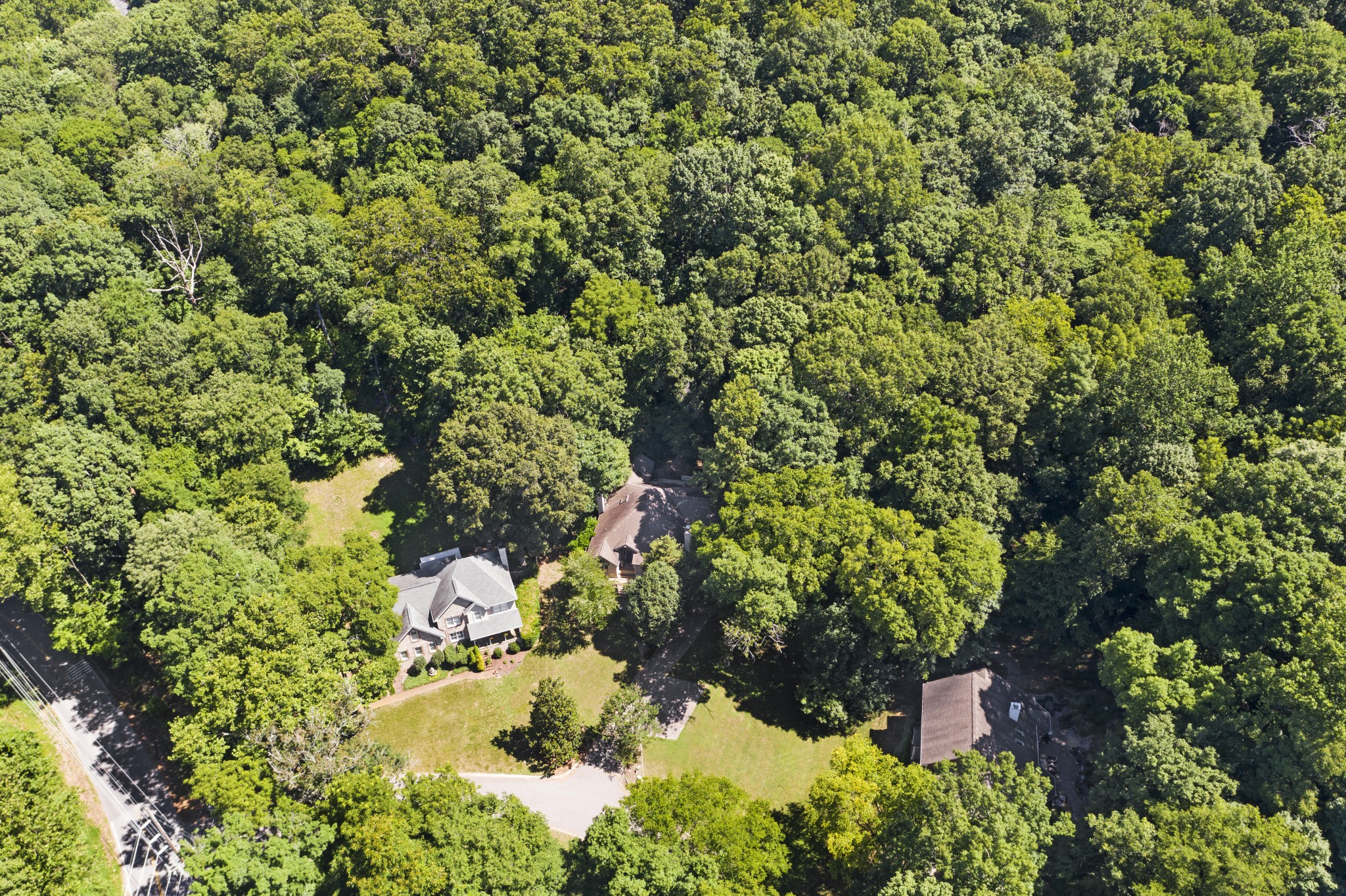 166 Hicks Road Nashville, TN 37221 - Photo 43 of 43 a view of a garden with plants