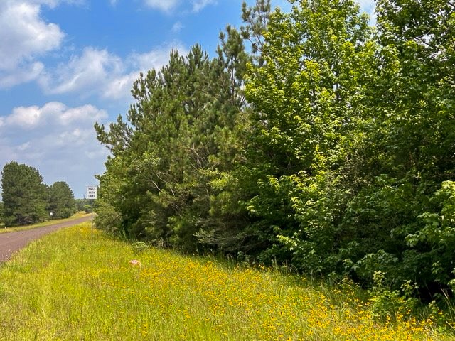 0 Fm 92 Colmesneil, TX 75938 - Photo 5 of 12
