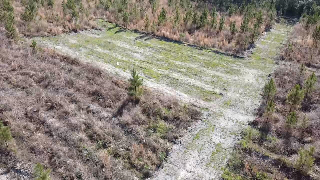 Lot 8 Amos Road Georgetown, SC 29440 - Photo 3 of 9