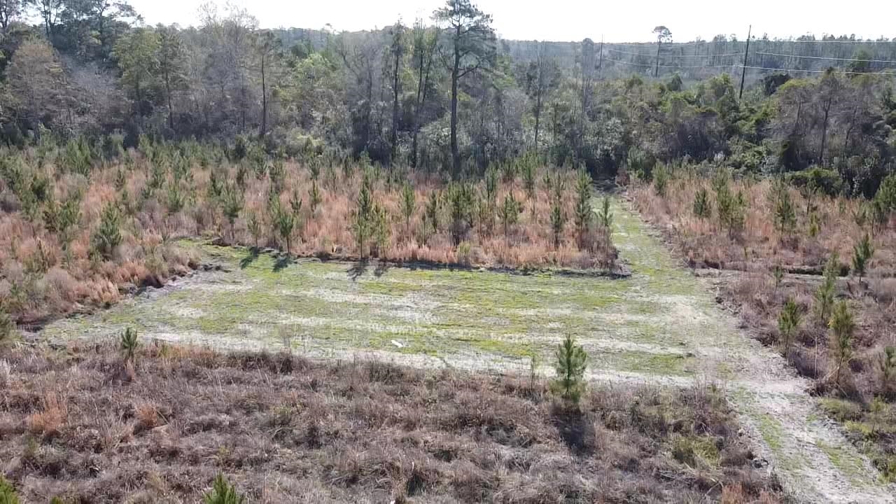 Lot 8 Amos Road Georgetown, SC 29440 - Photo 4 of 9