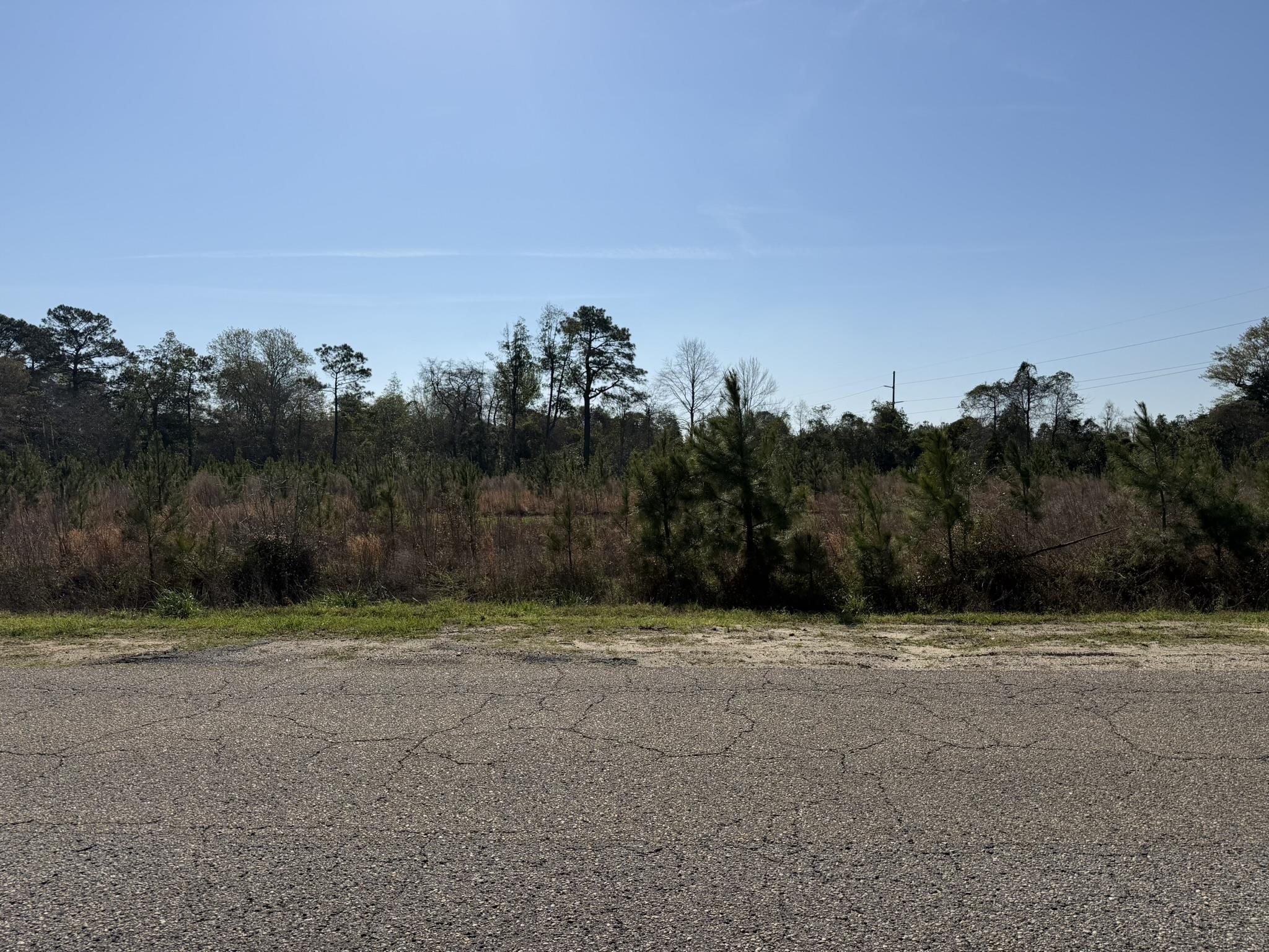 Lot 8 Amos Road Georgetown, SC 29440 - Photo 5 of 9