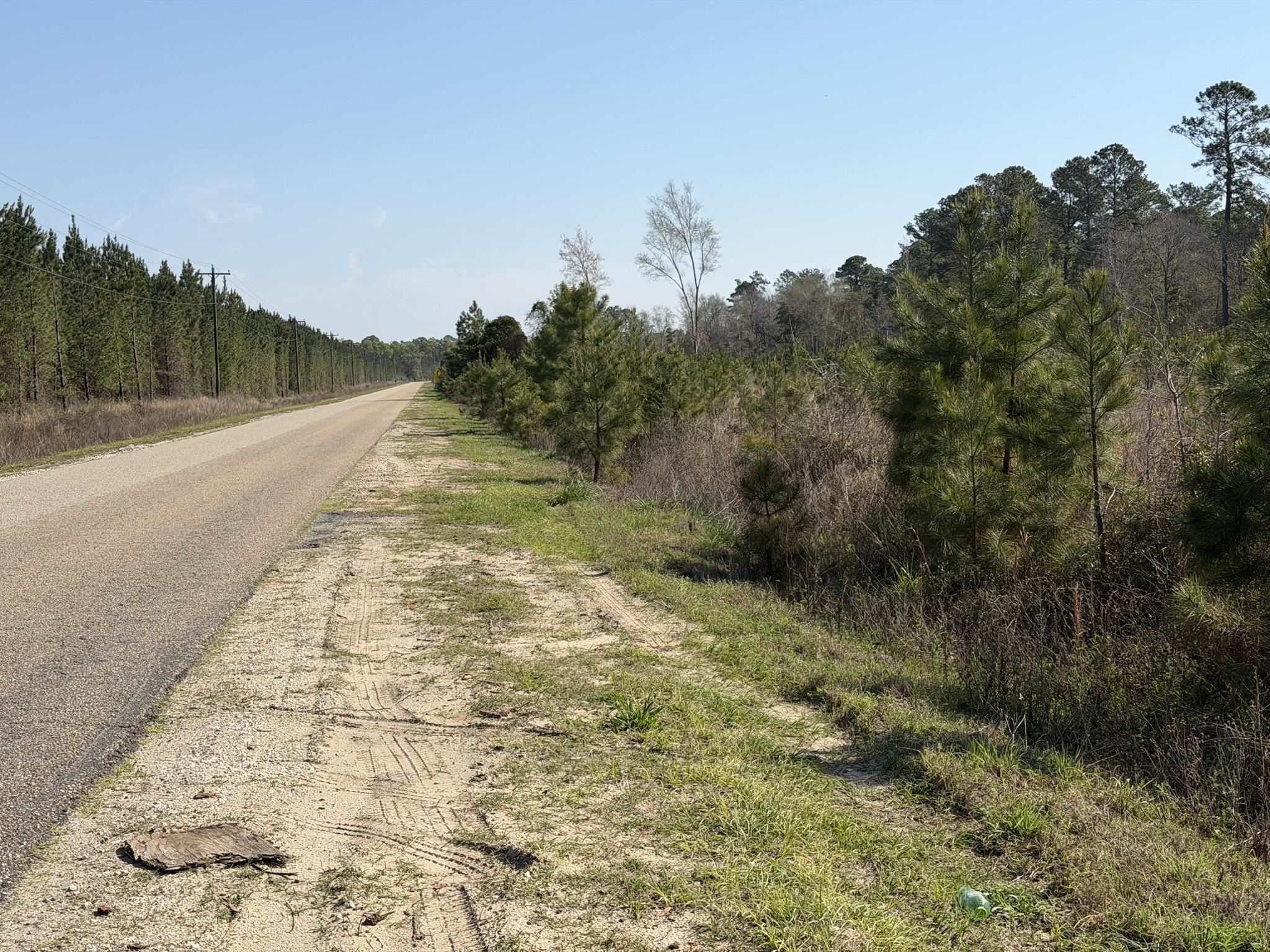 Lot 8 Amos Road Georgetown, SC 29440 - Photo 6 of 9
