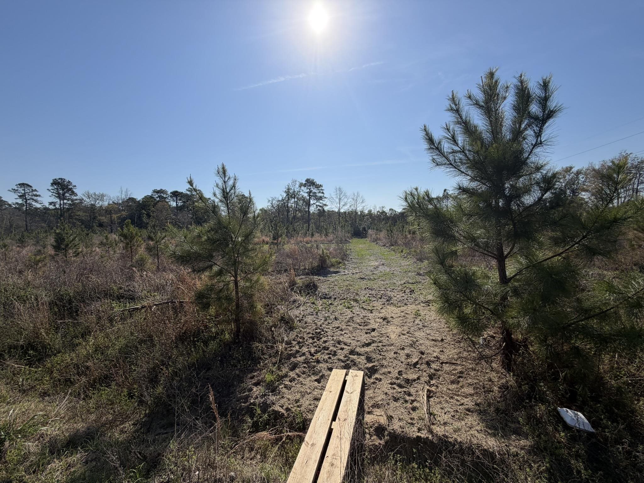 Lot 8 Amos Road Georgetown, SC 29440 - Photo 7 of 9