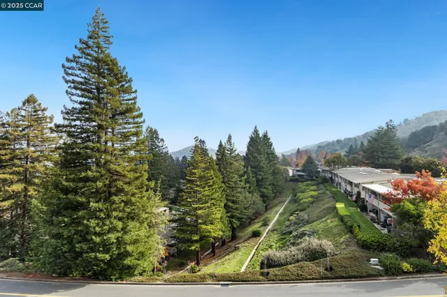 a view of a yard with plants and a bench
