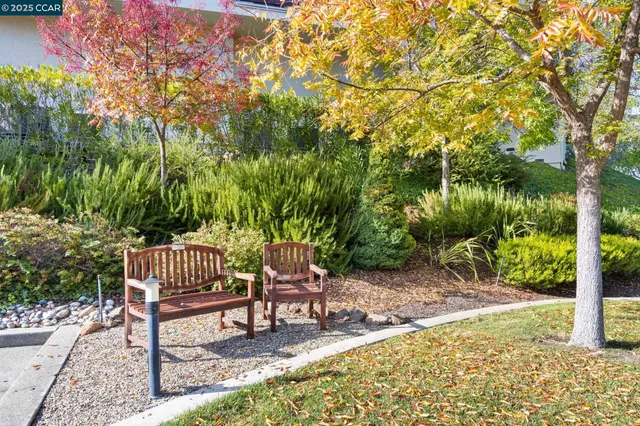 a view of bench in the backyard with large trees