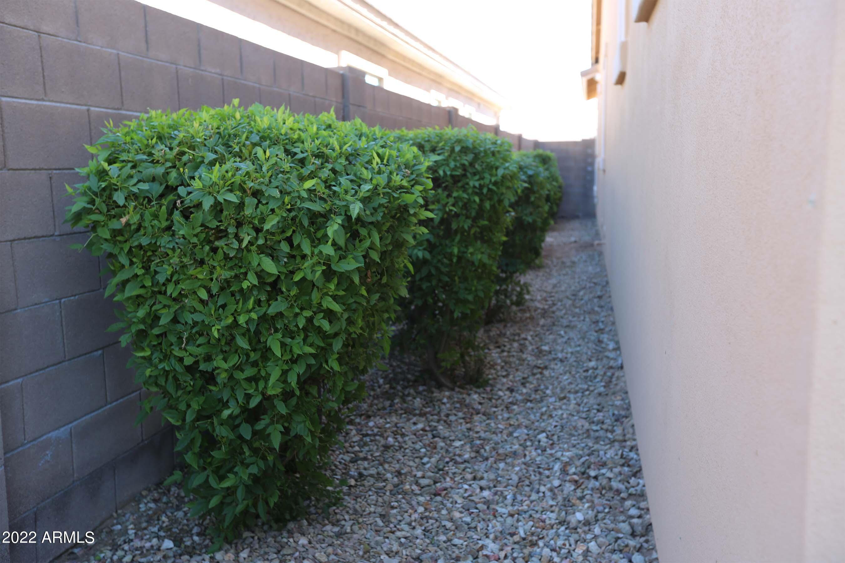 15680 West Berkeley Road Goodyear, AZ 85395 - Photo 57 of 62 Berkeley 65