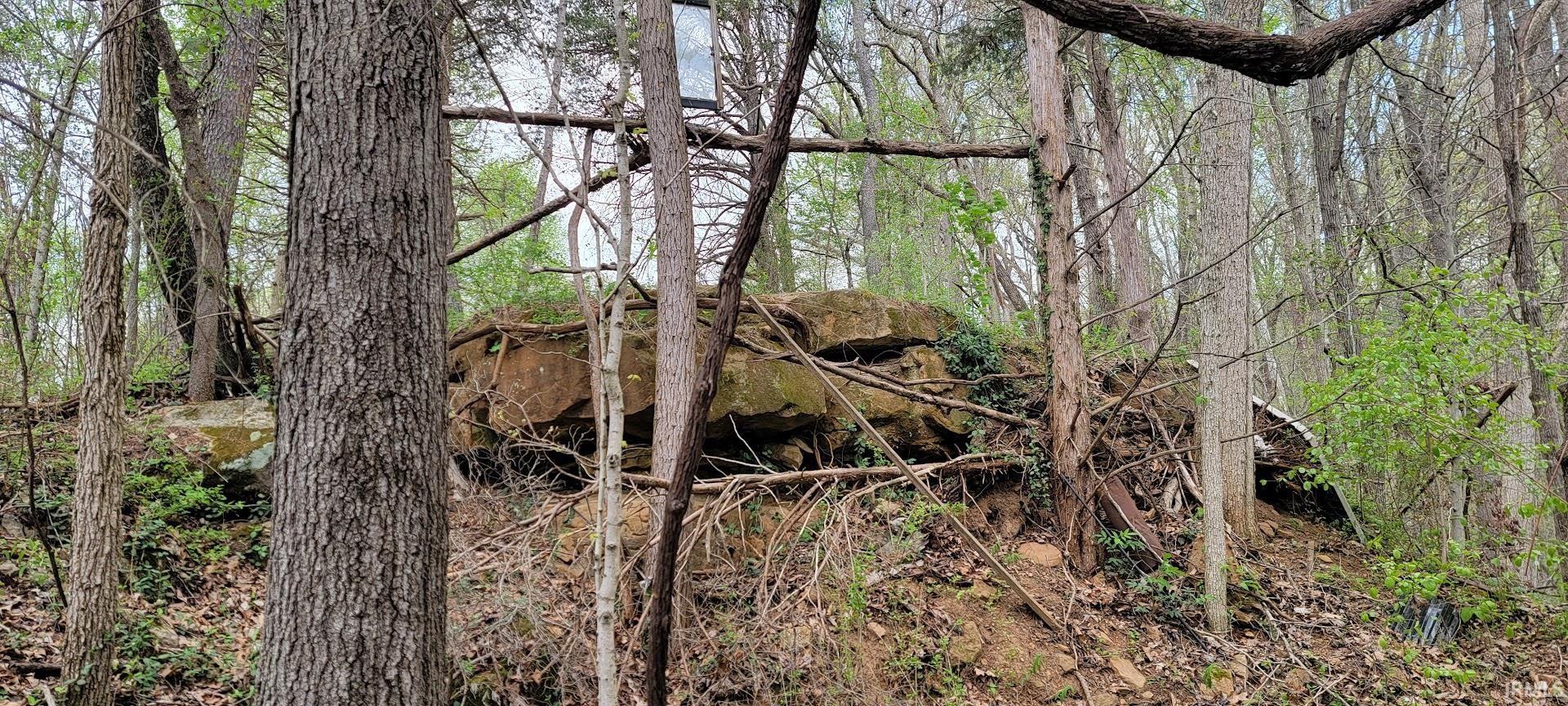 0 North Co Road West Baden Springs, IN 47469 - Photo 5 of 9