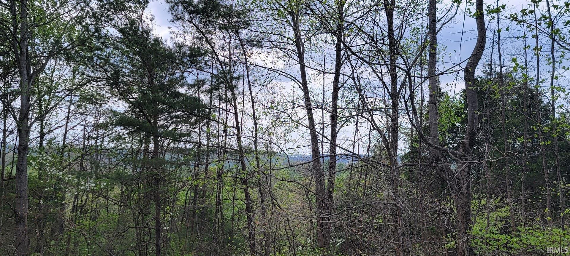 0 North Co Road West Baden Springs, IN 47469 - Photo 7 of 9