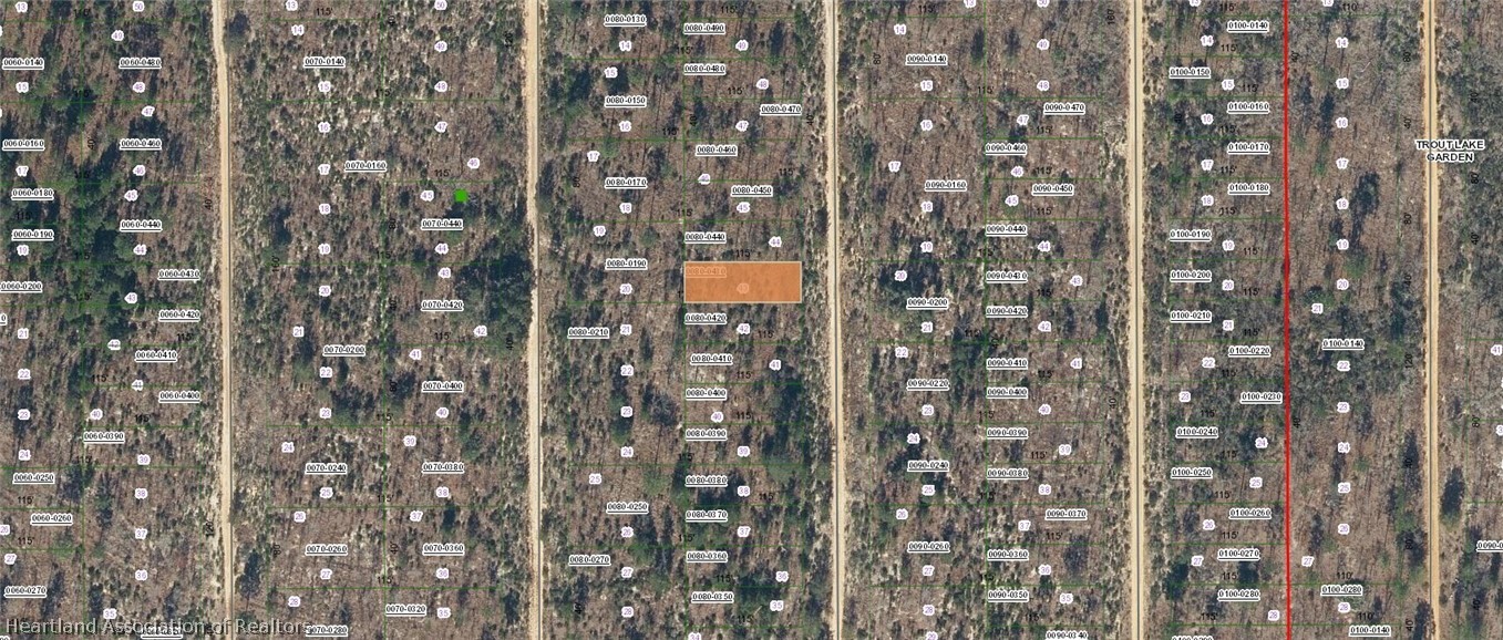 Dothan Street Interlachen, FL 32148 - Photo 4 of 6