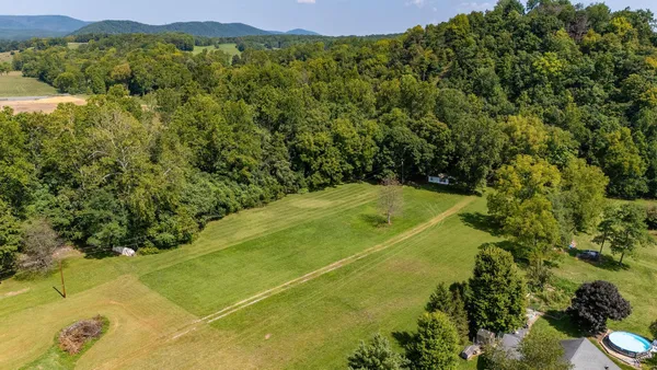 a view of a big yard with plants and large trees