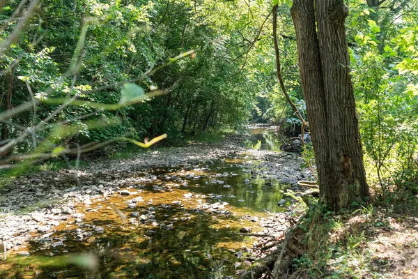 a view of outdoor space and garden