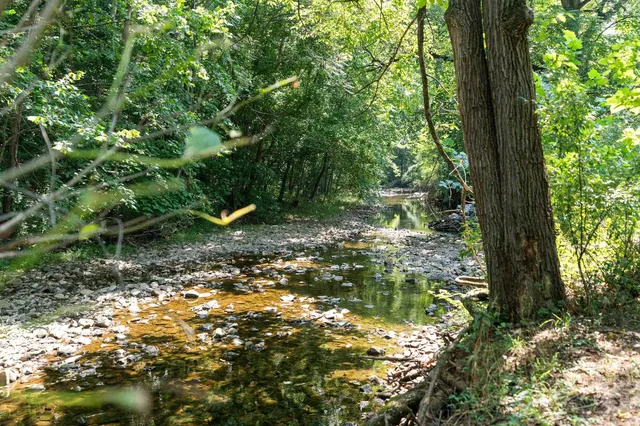 a view of outdoor space and garden