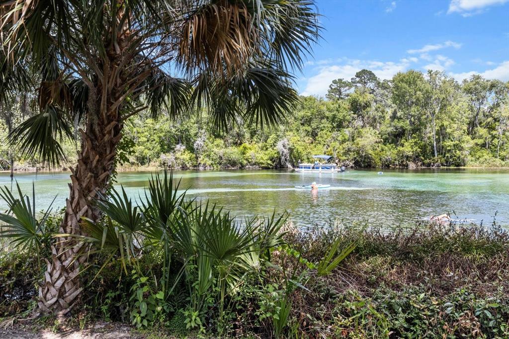 19126 Southwest 101st Street Dunnellon, FL 34432 - Photo 38 of 46 a view of a lake with a palm tree