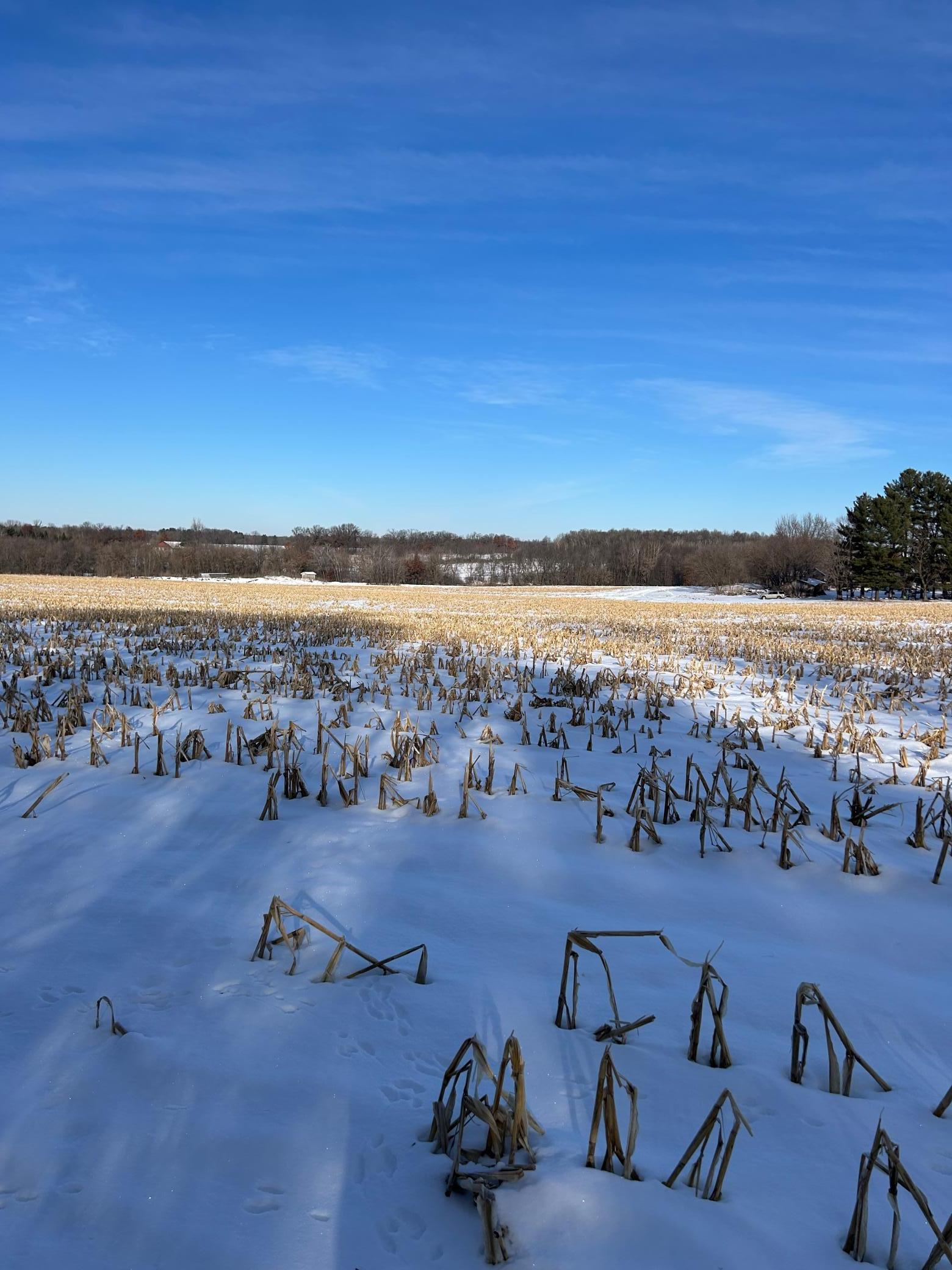 Tbd 220th Street Baldwin, WI 54002 - Photo 3 of 5