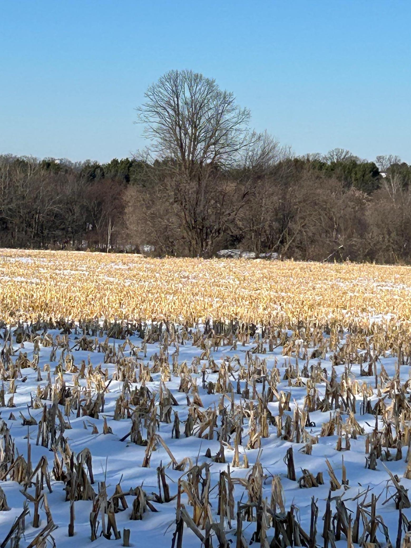 Tbd 220th Street Baldwin, WI 54002 - Photo 5 of 5