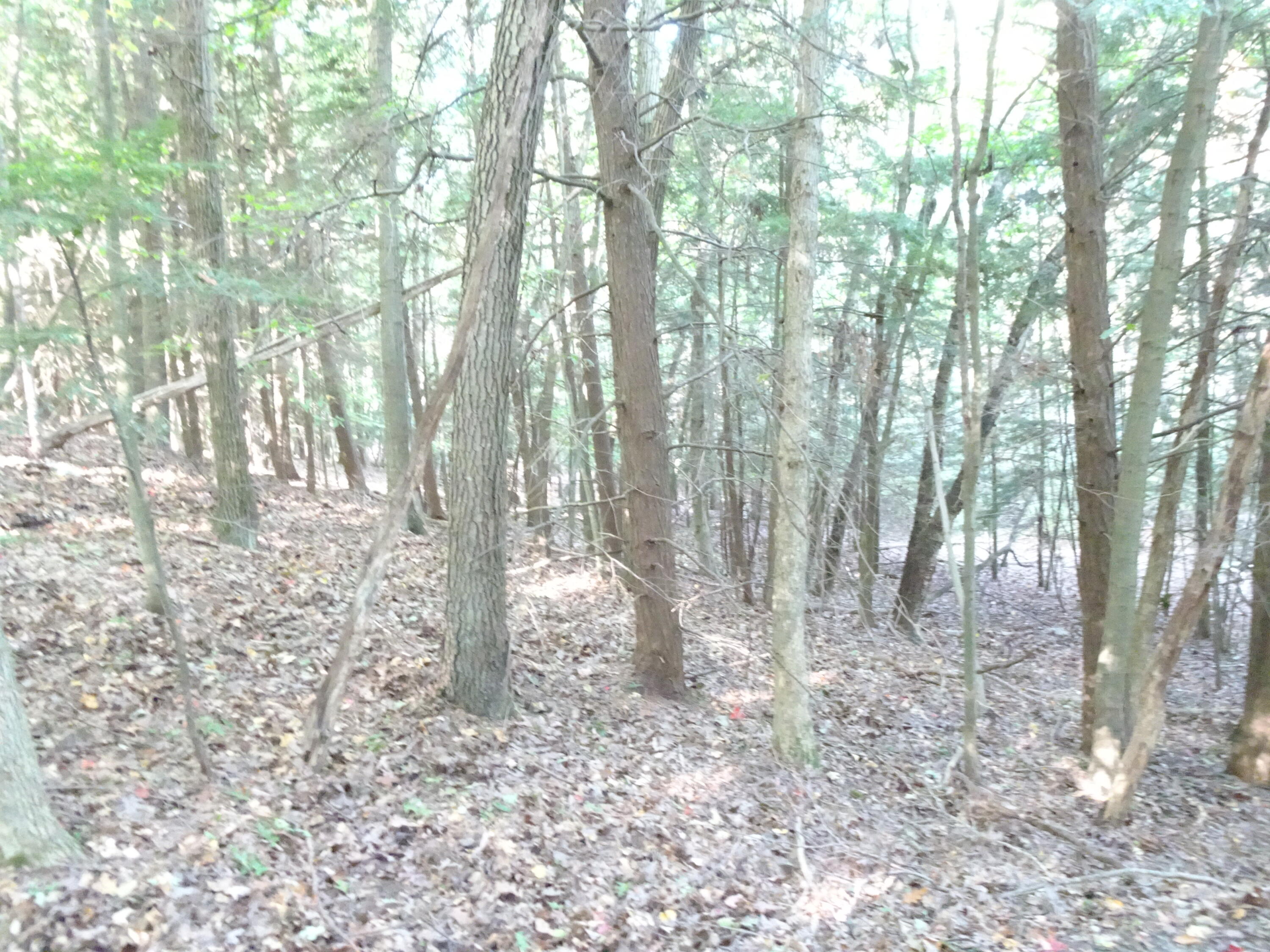469 East Kott Road Manistee, MI 49660 - Photo 31 of 34 DSC04571