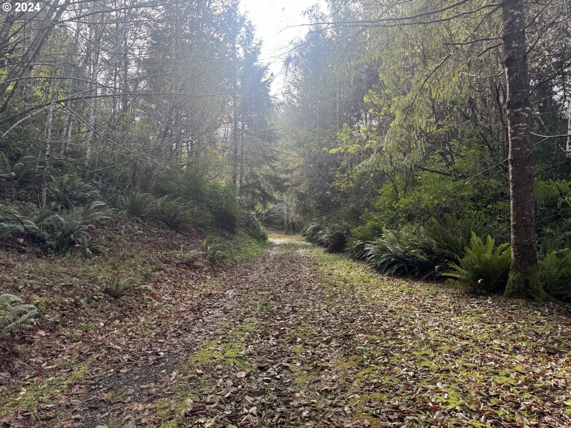 0 Potato Bottom Road, Unit 603 Lakeside, OR 97449 - Photo 24 of 27