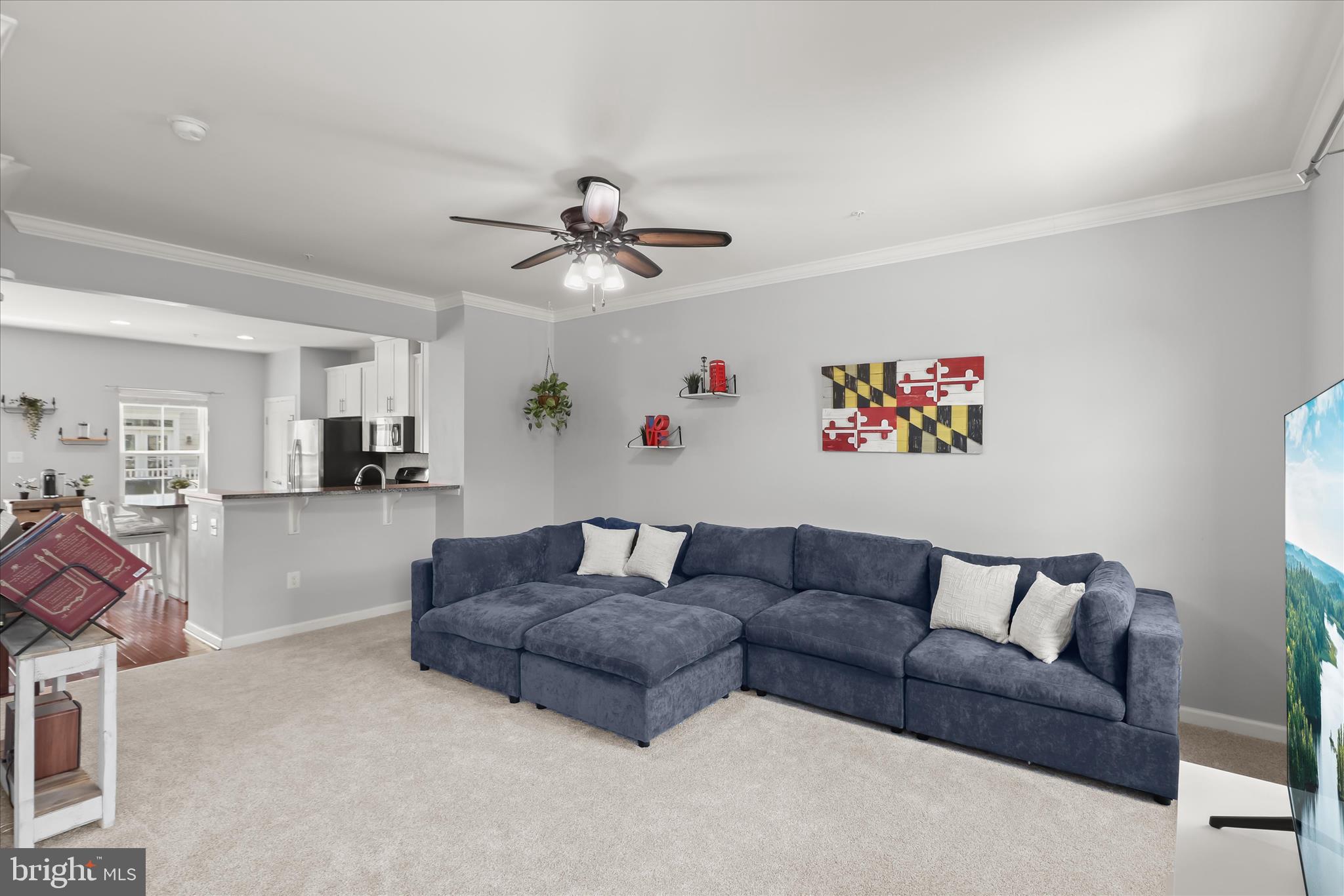 3566 Sprigg Street South Frederick, MD 21704 - Photo 11 of 60 Living Room