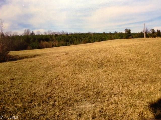 6421 Hidden Springs Road Denton, NC 27239 - Photo 19 of 20 Gallery Image 19