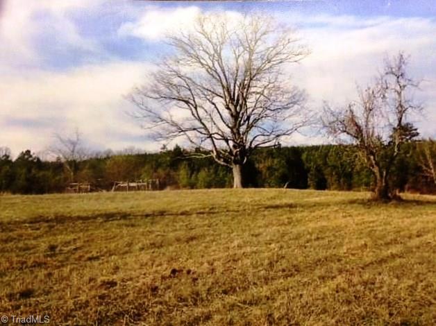 6421 Hidden Springs Road Denton, NC 27239 - Photo 20 of 20 Gallery Image 20