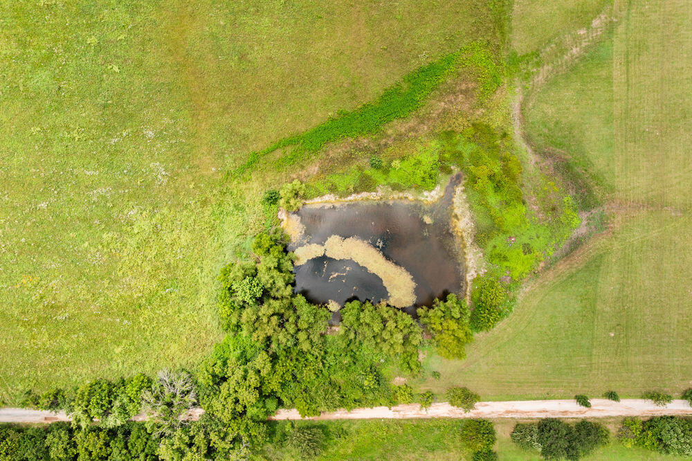 0 South 97th Road Bolivar, MO 65613 - Photo 7 of 11 FrameandFocus_WEBorMLS-5-2