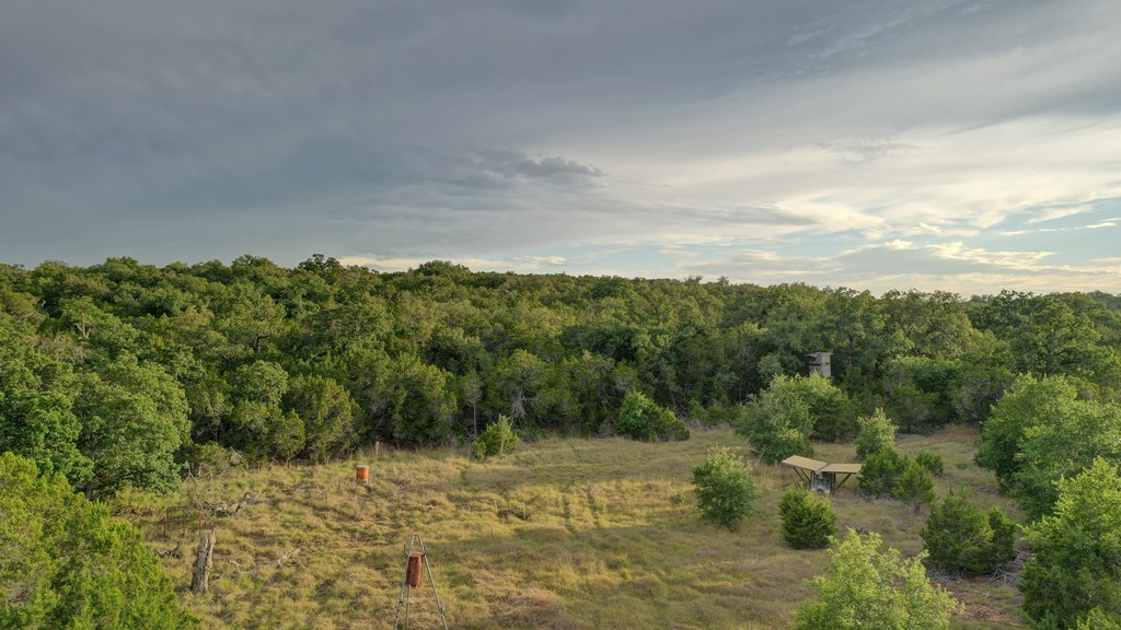 438 Yellowstone Lane Hunt, TX 78024 - Photo 34 of 47