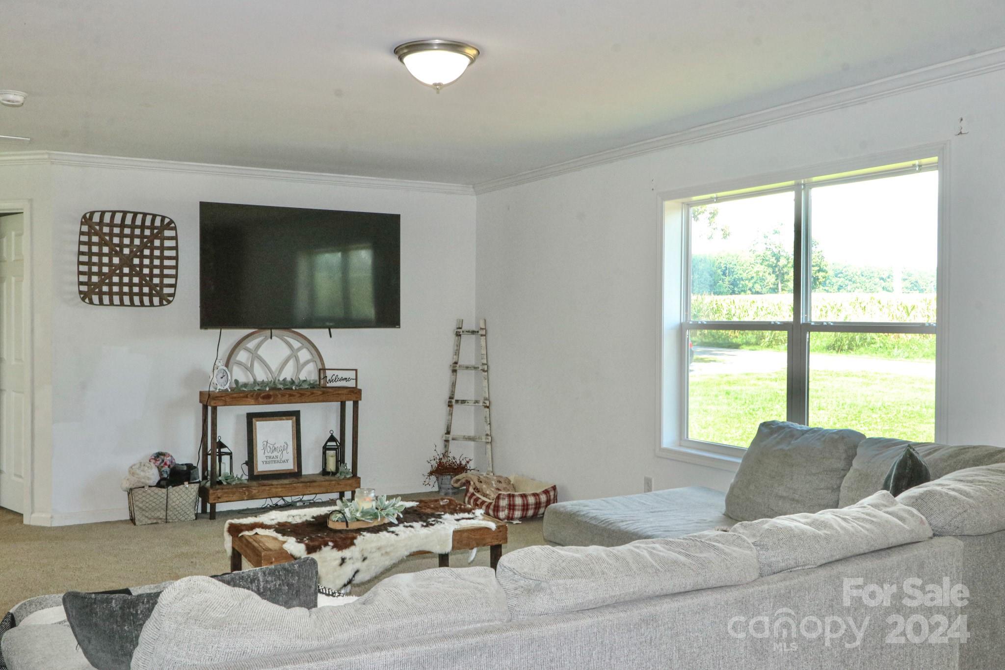 1647 Bloomtown Road East Bend, NC 27018 - Photo 5 of 34