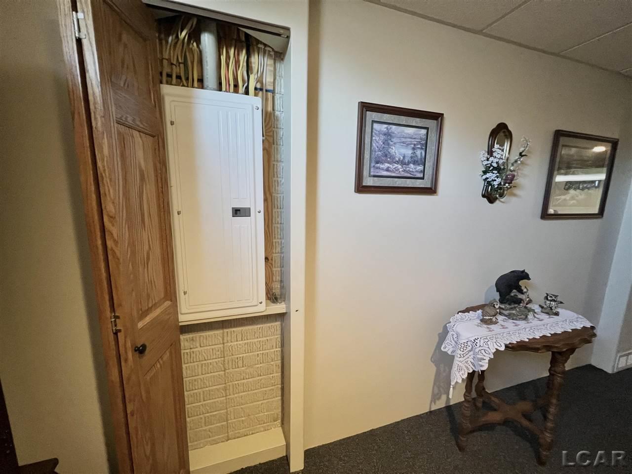 18663 Rome Road Hudson, MI 49247 - Photo 38 of 45 50062604-37.JPG