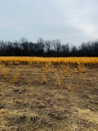 $32,000 | 1 4750th Road, Pembroke Township, IL 60958