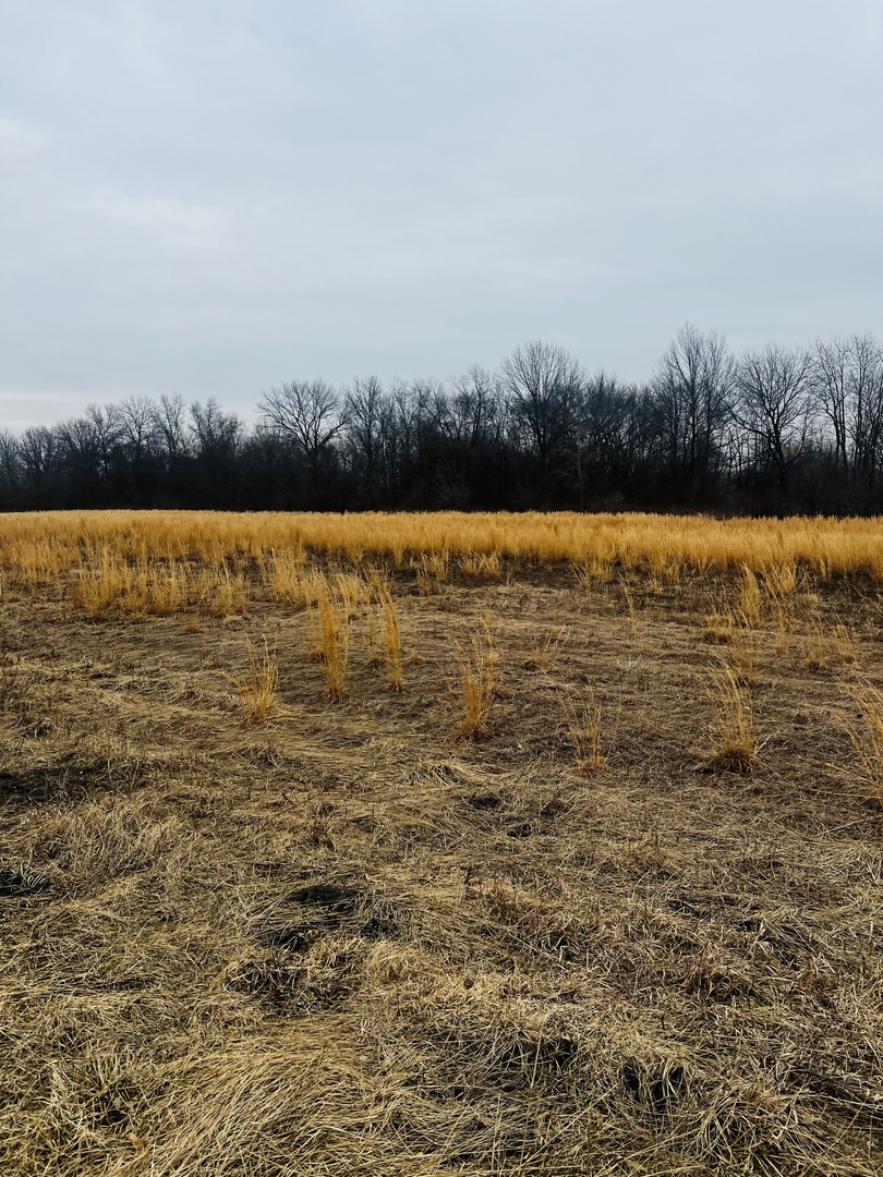 1 4750th Road Pembroke Township, IL 60958 - Photo 2 of 3