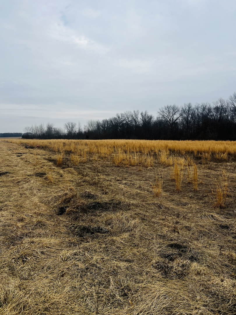 1 4750th Road Pembroke Township, IL 60958 - Photo 3 of 3