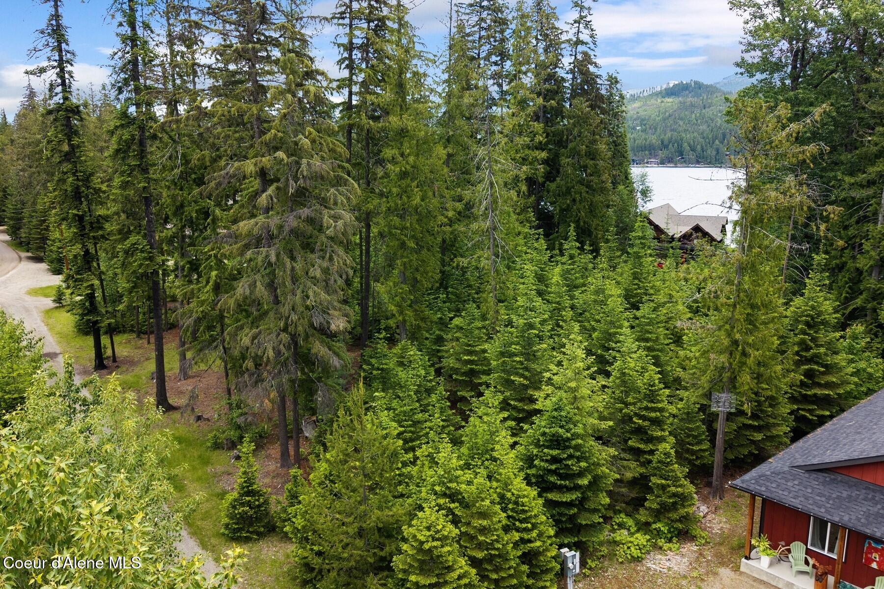 Lot 29 Bruin Road Nordman, ID 83848 - Photo 5 of 44 Lot 29&30