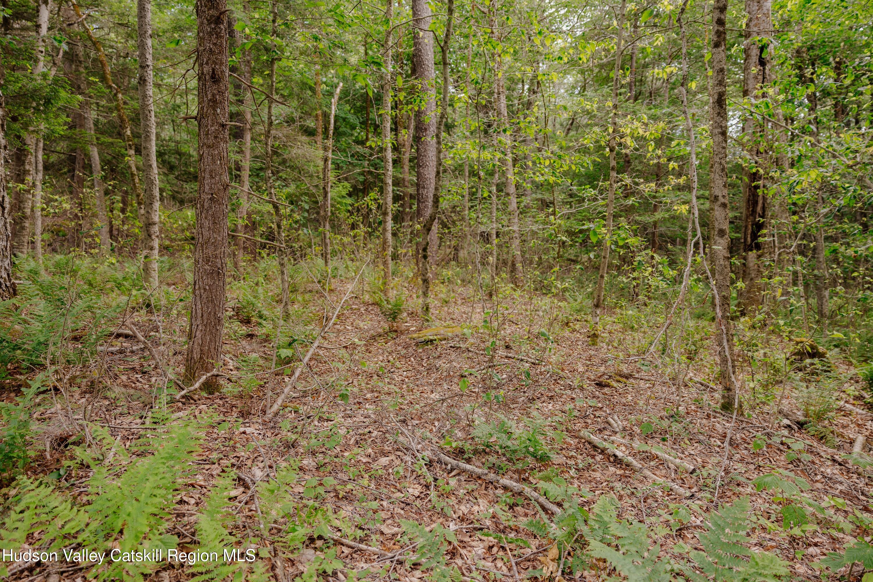 Tbd Church Lake Road Livingston Manor, NY 12758 - Photo 18 of 33 shandelee-woods-thatupstateagent-1-18
