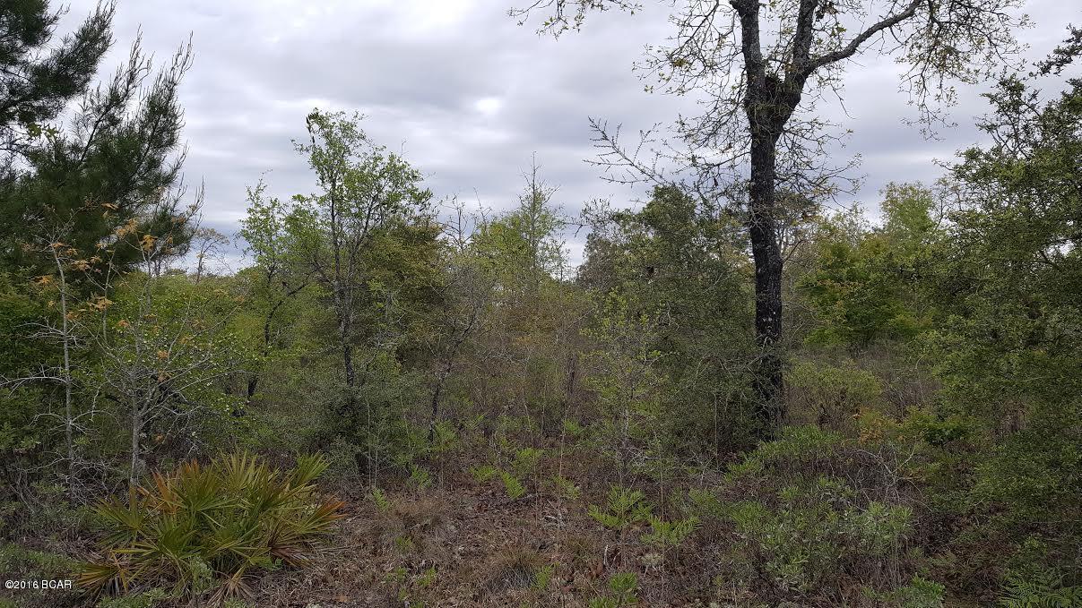 1454 Davidson Road, Unit A Bonifay, FL 32425 - Photo 2 of 3