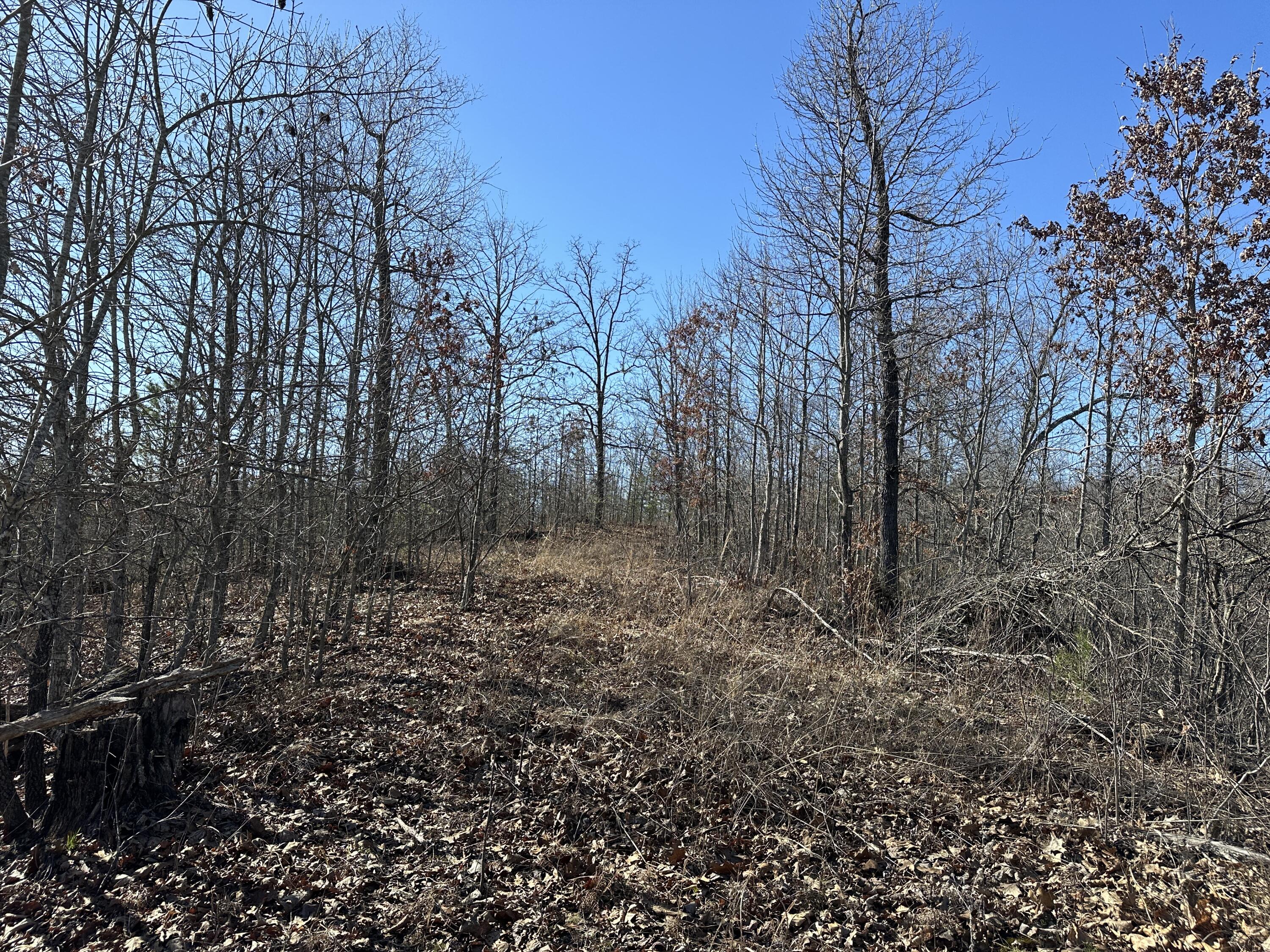 12 Williams Creek Road Rush, KY 41168 - Photo 13 of 15 Trail