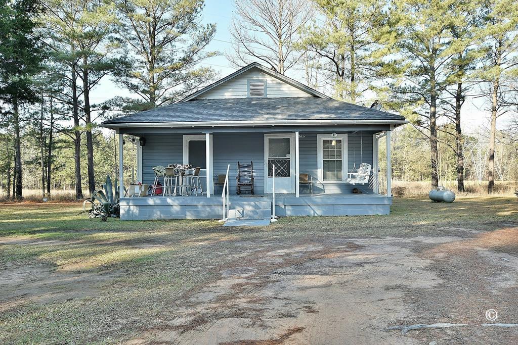 Main View