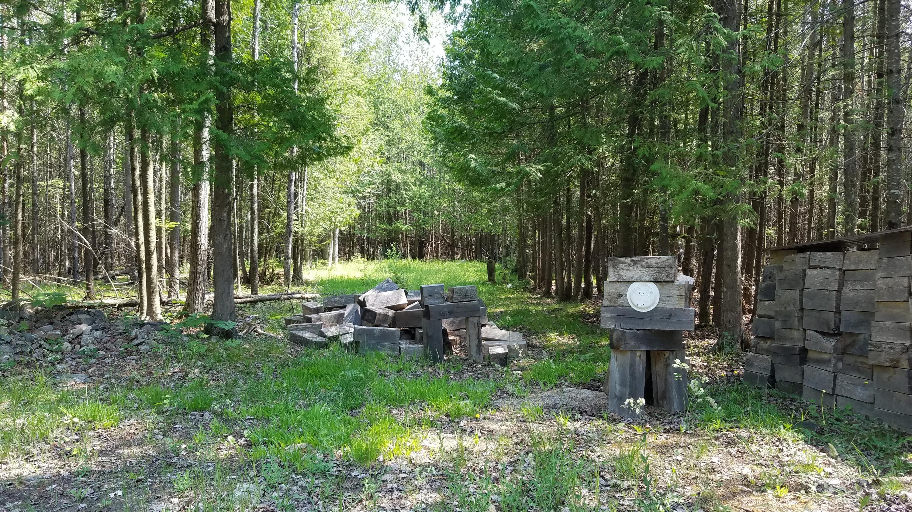 7351 East Hamilton Road Alpena, MI 49707 - Photo 24 of 45 Gallery Image 24