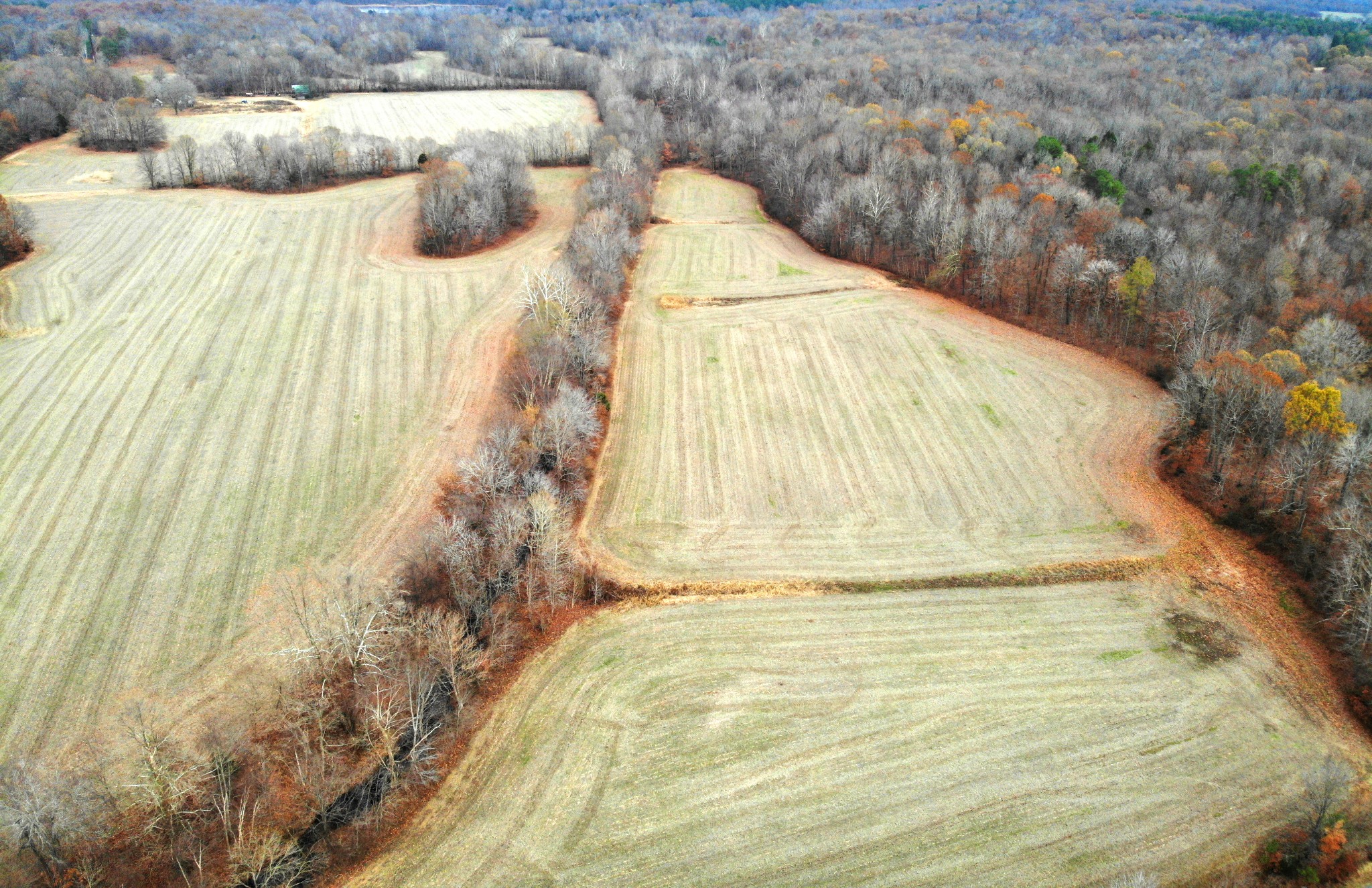 2407 Dooms Chapel Road Symsonia, KY 42082 - Photo 16 of 19 Gallery Image 16