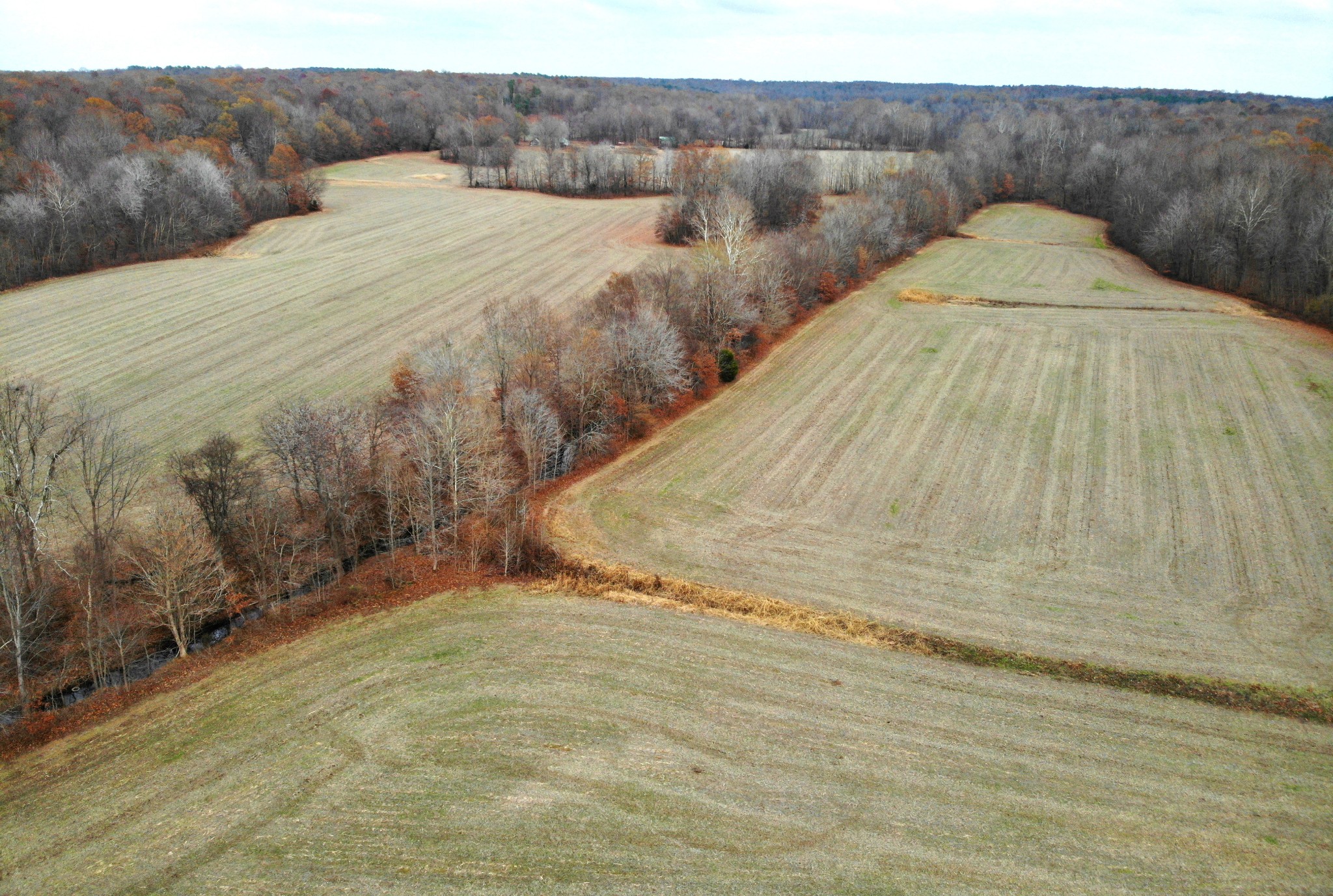 2407 Dooms Chapel Road Symsonia, KY 42082 - Photo 18 of 19 Gallery Image 18