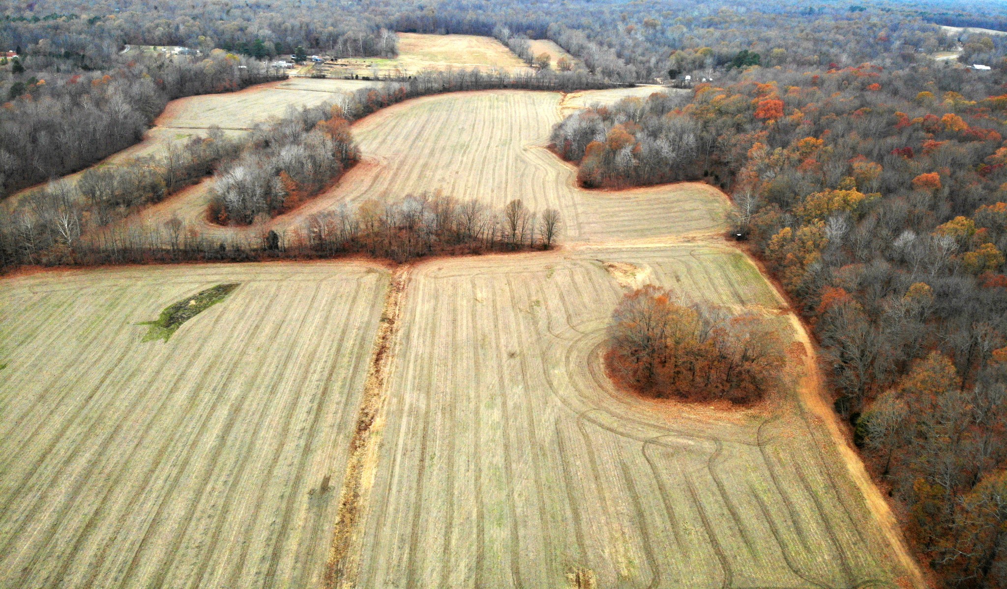2407 Dooms Chapel Road Symsonia, KY 42082 - Photo 9 of 19 Gallery Image 9
