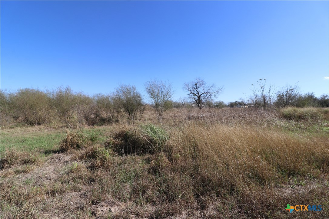 0 Cotton Street Fannin, TX 77960 - Photo 25 of 25