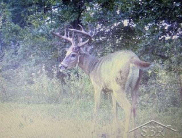 0 South Hurds Corner Road Mayville, MI 48744 - Photo 15 of 19