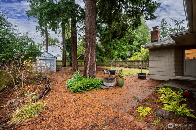 a view of a backyard with table and chairs potted plants and large tree