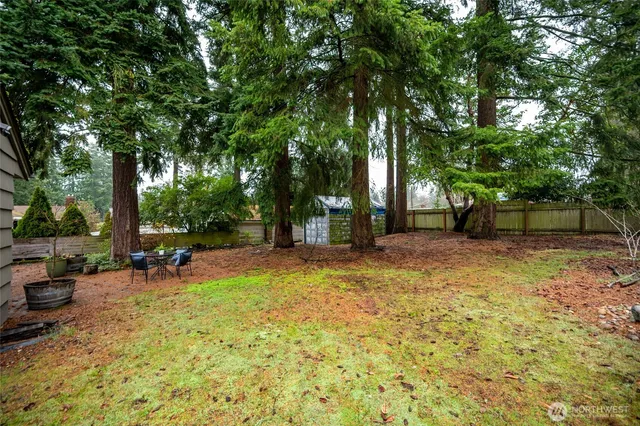 a view of a backyard with table and chairs potted plants and tree